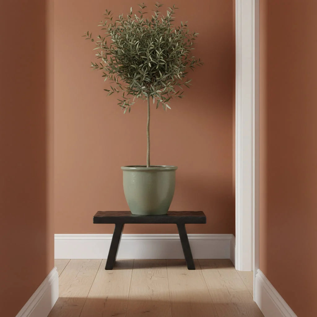 Table basse en bois de manguier noir sculpté rectangulaire 40x25 cm avec olivier en pot céramique vert sauge mat