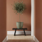 Table basse en bois de manguier noir sculpté rectangulaire 40x25 cm avec olivier en pot céramique vert sauge mat