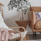 Table d’appoint moderne utilisée dans un salon avec une plante décorative posée dessus.