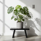 Tabouret artisanal en bois de manguier noir avec monstera, 40x25 cm