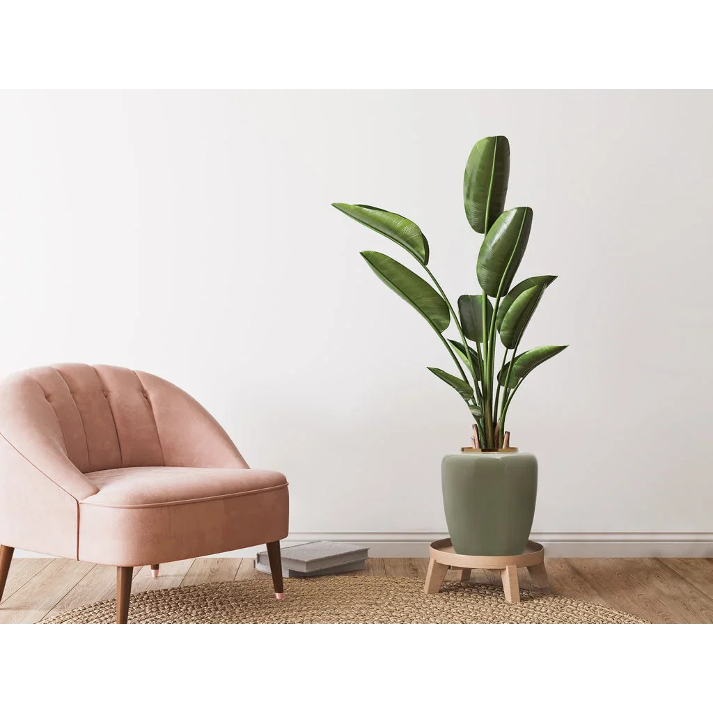 Fauteuil en velours rose avec pieds en bois pour Vase Artisse 100 Mint Gold