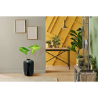 Vase Art Deco 250 Dunkelgrün / Silber en céramique noire avec deux feuilles vertes