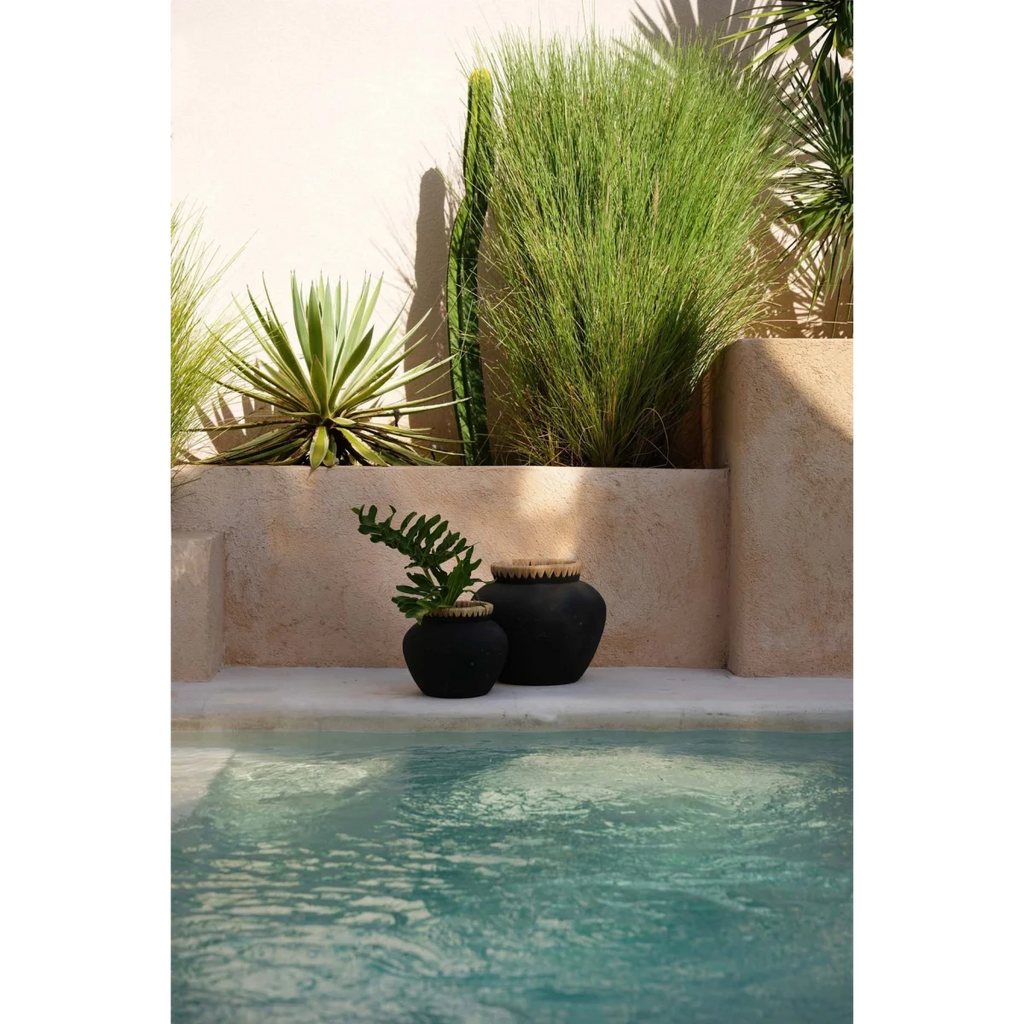 Deux pots décoratifs noirs en terre cuite avec accents de plantes séchées