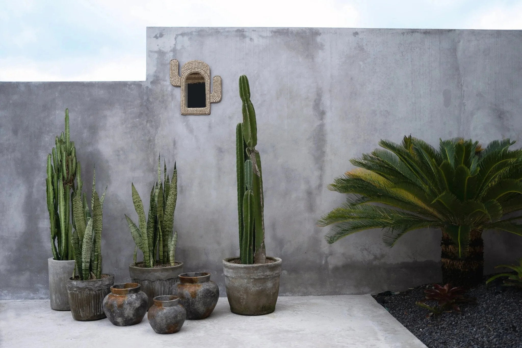 Arrangement de plantes d’extérieur dans un vase décoratif en terre cuite gris antique