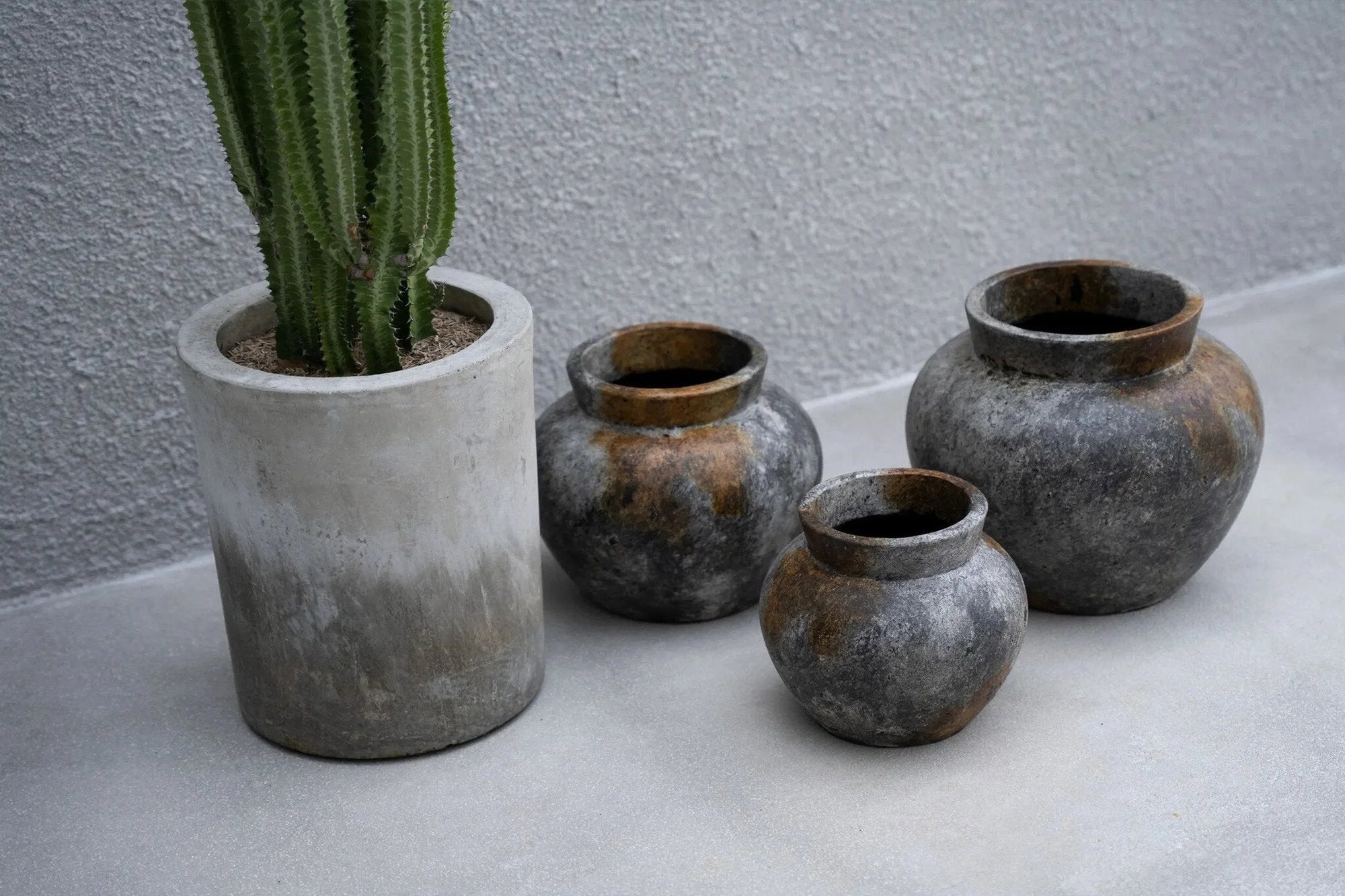 Pottery rustique et cactus en pot dans un Vase décoratif en terre cuite gris antique