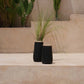 Vases noirs avec plantes semblables à de la paille pour la décoration intérieure