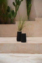 Vases noirs avec plantes semblables à de la paille pour la décoration intérieure