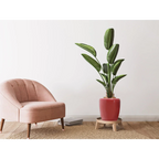 Fauteuil en velours rose avec pieds en bois dans le produit Vase Artisse 100 Coral Gold