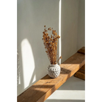 Vase rond en terre cuite effet béton gris avec fleurs séchées brunes