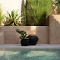 Deux pots noirs avec plantes pour le produit Le Vase Styly Noir Naturel L