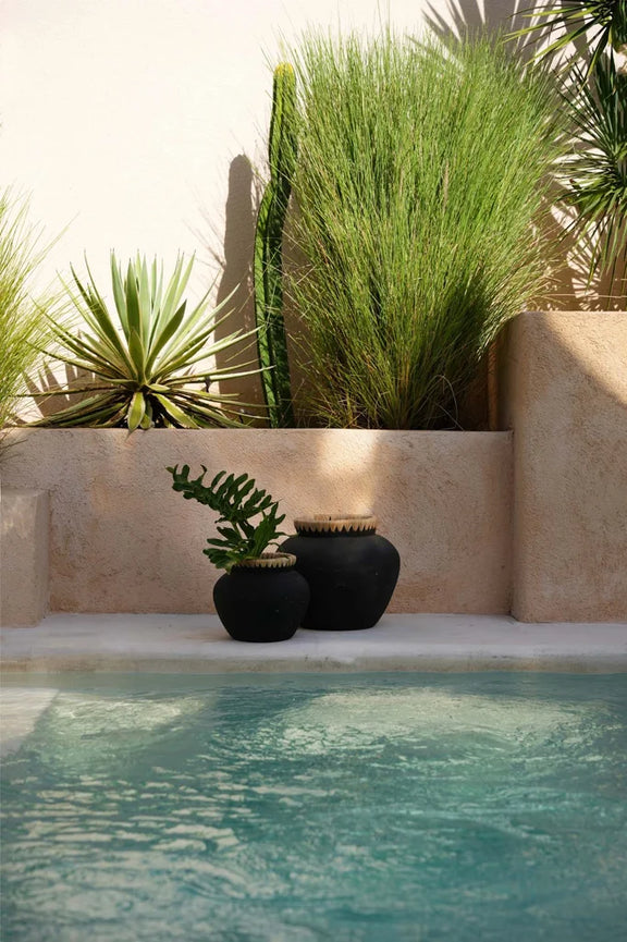Deux pots noirs avec plantes pour le produit Le Vase Styly Noir Naturel L