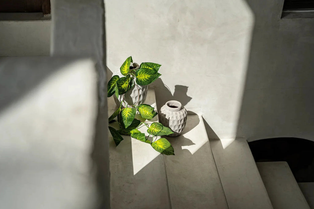 Vase en terre cuite béton motif contemporain avec une plante verte vibrante