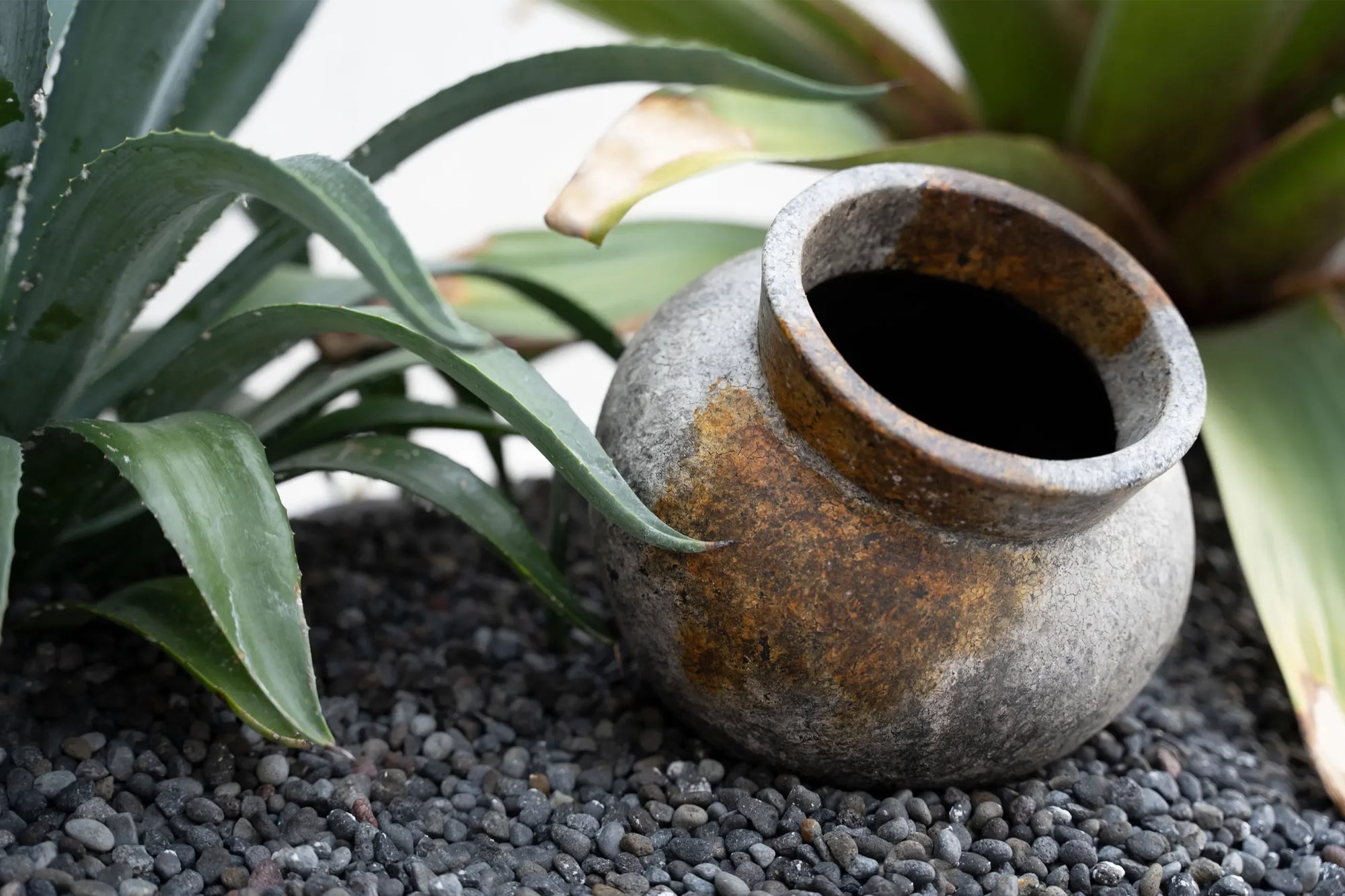 Vase en terre cuite gris antique 19 cm pour fleurs sèches avec aspect rustique et patiné
