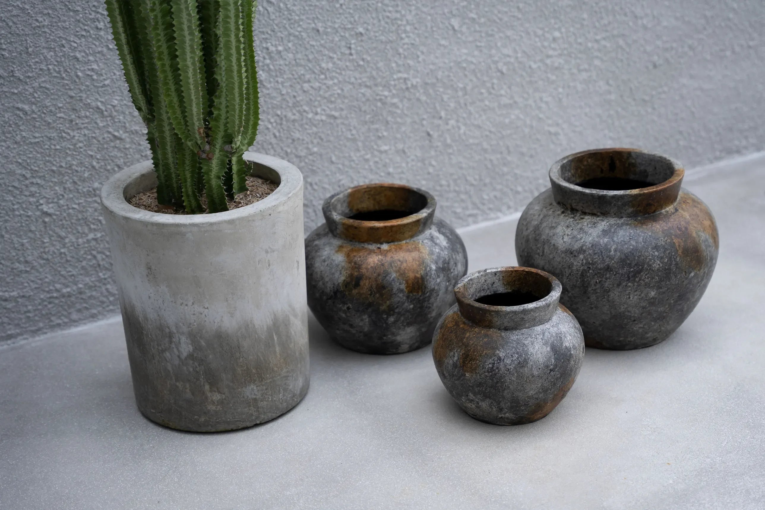 Pot de terre cuite gris antique avec cactus et décoration rustique pour fleurs sèches