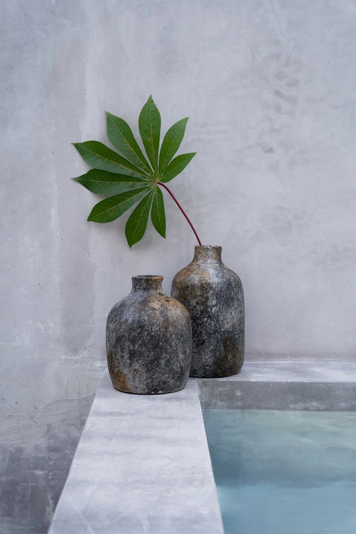 Vases en terre cuite gris antique avec texture et feuille verte, décoration élégante
