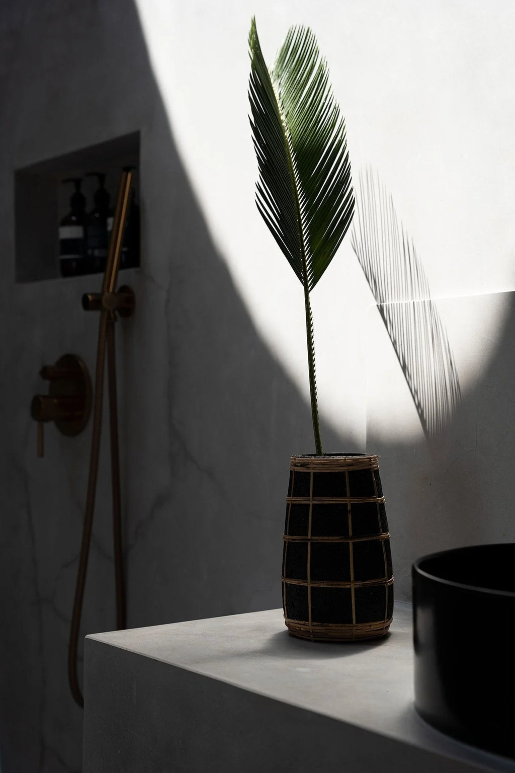 Palme verte dans un vase en terre cuite noir avec détail en rotin tressé
