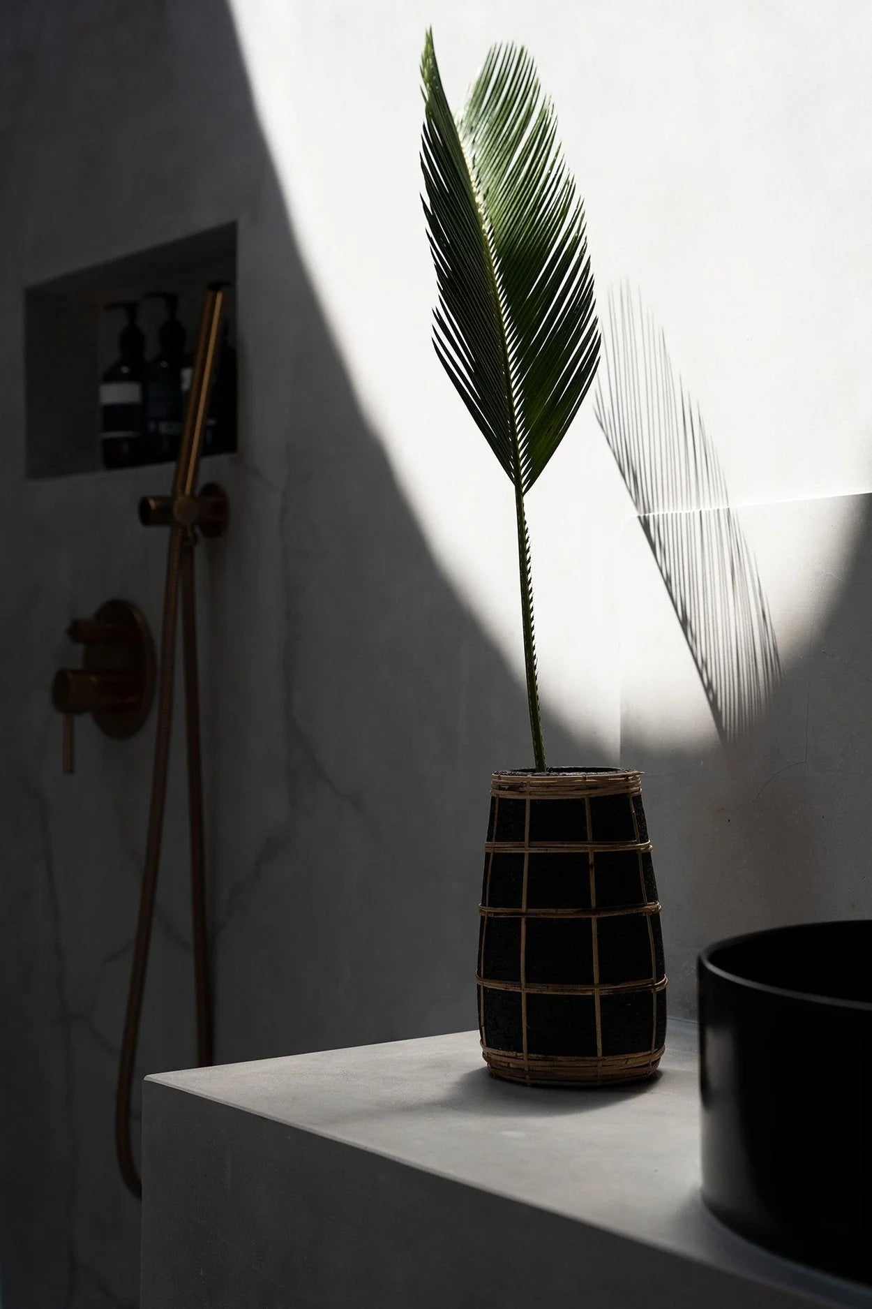 Palme verte dans un vase en terre cuite noir avec détail en rotin tressé