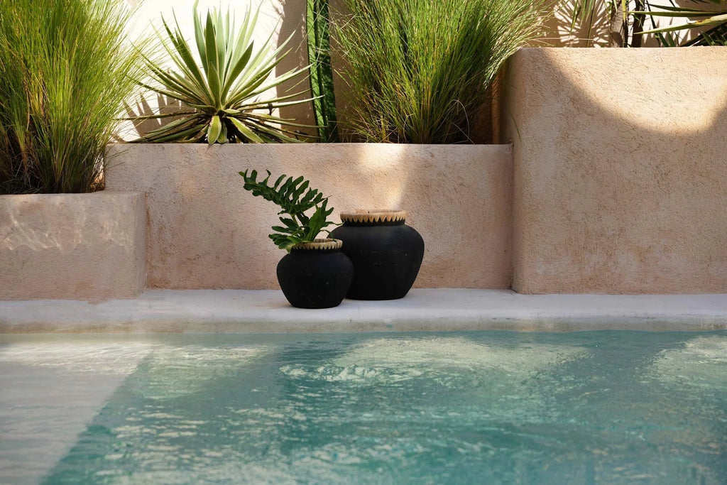 Pot décoratif en terre cuite et raphia noir naturel avec plante verte verte